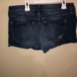 Express Dark Blue Shorts